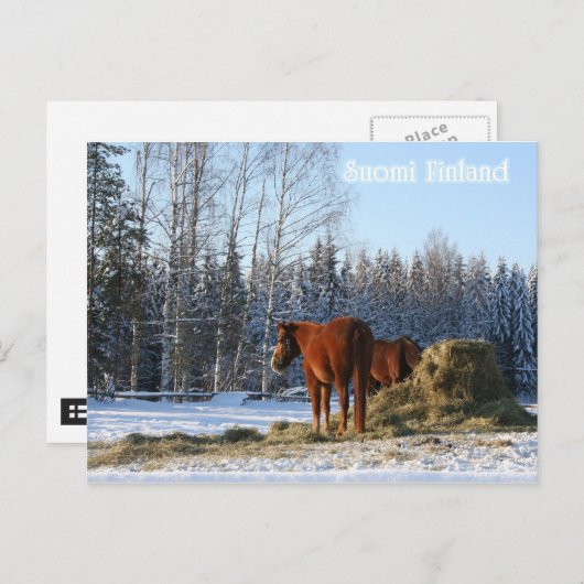 干し草は馬用だ ポストカード (正面/裏面)