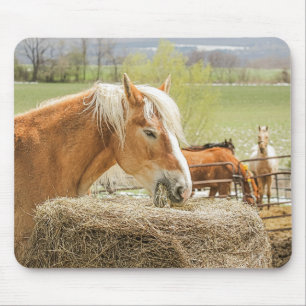 干し草を食べる農場の馬 マウスパッド