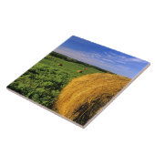 干し草ベールはBottineauノースダコタに近づきます タイル (側面)