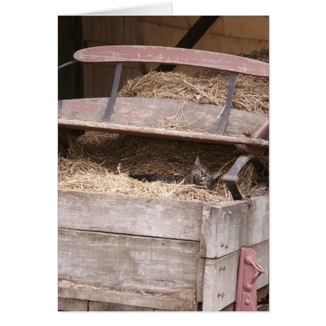 干し草ワゴン (正面)