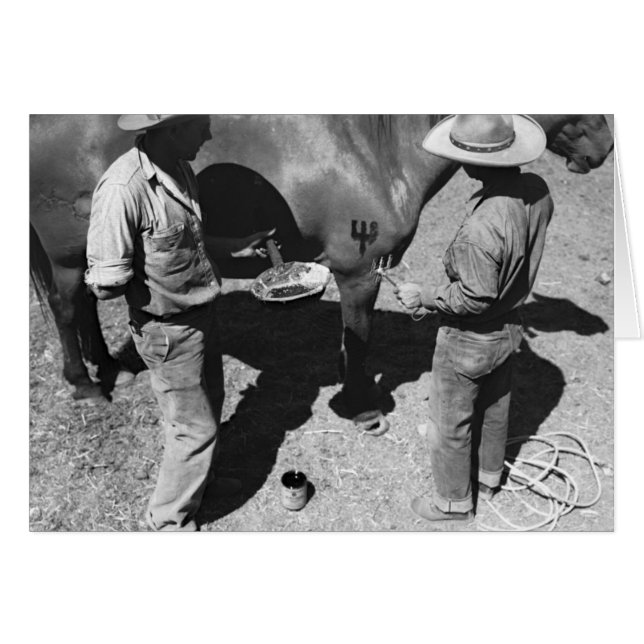 干し草用フォークのブランドのブランディングの馬 (正面横)