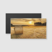 干し草 (正面/裏面)