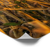 干し草 ポスター (角)