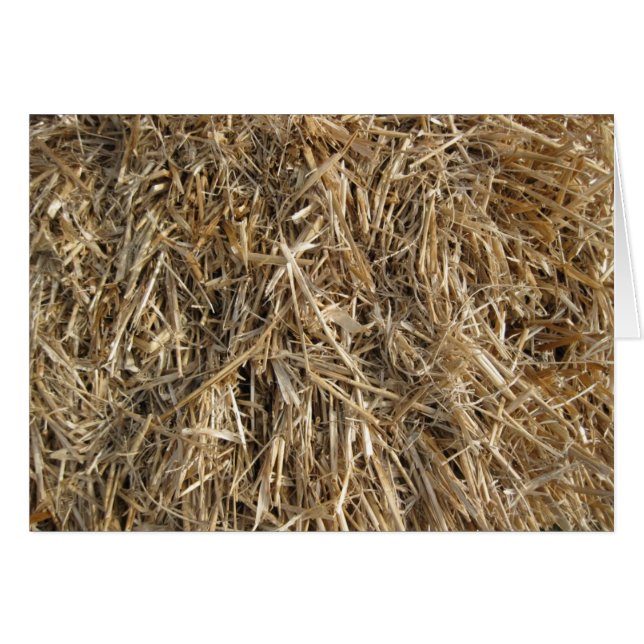 干し草! 干し草! 2 (正面横)