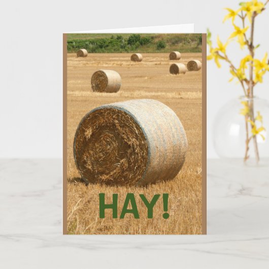 干し草！早く良くなる カード (黄色い花)