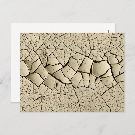 干泥 ポストカード (正面/裏面)