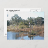 干潟バクストンNC OBXポストカード ポストカード (正面/裏面)