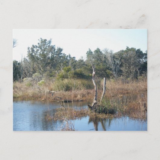 干潟バクストンNC OBXポストカード ポストカード (正面)