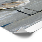 干潟ビュッフェ ポスター (角)