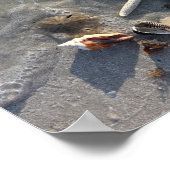 干潮ビーチ財宝 ポスター (角)