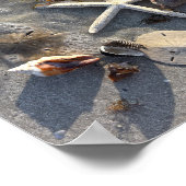 干潮ビーチ財宝 ポスター (角)