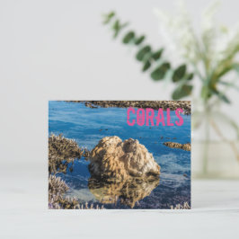 干潮時のサンゴ礁ルモーリシャスギフト シーズンポストカード