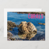 干潮時のサンゴ礁ルモーリシャスギフト シーズンポストカード (正面/裏面)