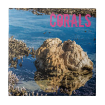 干潮時のサンゴ礁ルモーリシャスギフト