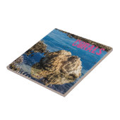 干潮時のサンゴ礁ルモーリシャスギフト タイル (側面)