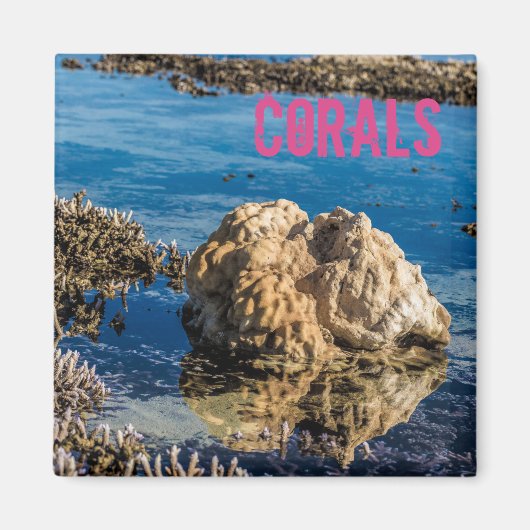 干潮時のサンゴ礁ルモーリシャスギフト マグネット (正面)