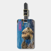 干潮時のサンゴ礁ルモーリシャスギフト ラゲッジタグ (正面縦)