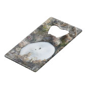 干潮時のフィジーリーフの砂ドル クレジットカード栓抜き (正面アングル)