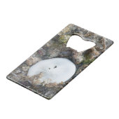 干潮時のフィジーリーフの砂ドル クレジットカード栓抜き (裏面アングル)