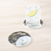 干潮時のフィジーリーフの砂ドル コースター (側面)