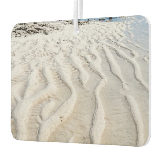 干潮 カーエアーフレッシュナー (左)