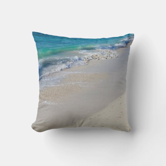 干潮 クッション (正面)