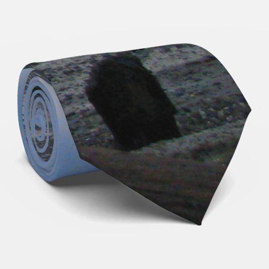 干潮 ネクタイ (ロール)
