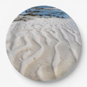 干潮 ペーパープレート (正面)