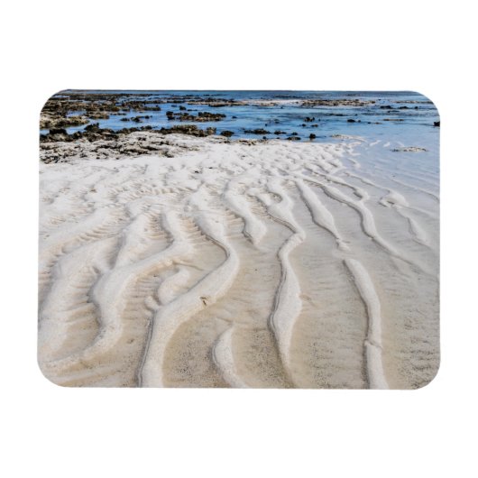 干潮 マグネット (横)