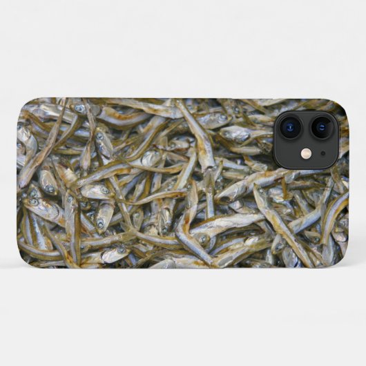 干物 Case-Mate iPhoneケース (裏面(横))