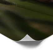 干草の中 ポスター (角)