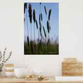 干草の中 ポスター (キッチン)