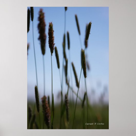 干草の中 ポスター (正面)