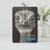 平らなカードありがとう サンキューカード (スタンド正面)