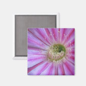 平らなケーキのスライス マグネット (正面/裏面)