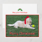 平らなゴールデン・リトリーバーの子犬のクリスマスカード シーズンカード (正面/裏面)