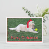 平らなゴールデン・リトリーバーの子犬のクリスマスカード シーズンカード (スタンド正面)