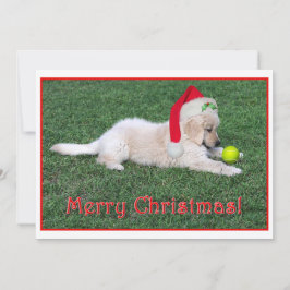 平らなゴールデン・リトリーバーの子犬のクリスマスカード シーズンカード