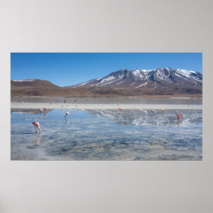 平らなサラール族DE UYUNI SALTボリビア ポスター