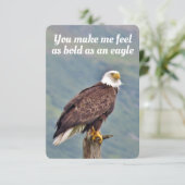 平らなサンキューカードの鷲 サンキューカード (スタンド正面)