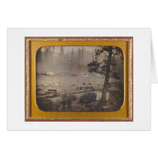 平らなハイイログマのDiggings El Dorado Co. (40070) (正面横)