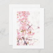 平らな招待状 : 桜の枝 招待状 (正面/裏面)