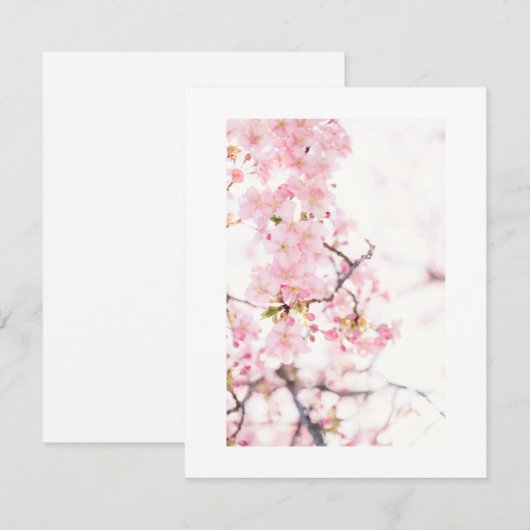 平らな招待状 : 桜の枝 招待状 (正面/裏面)