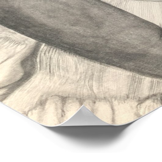 平らな ポスター (角)