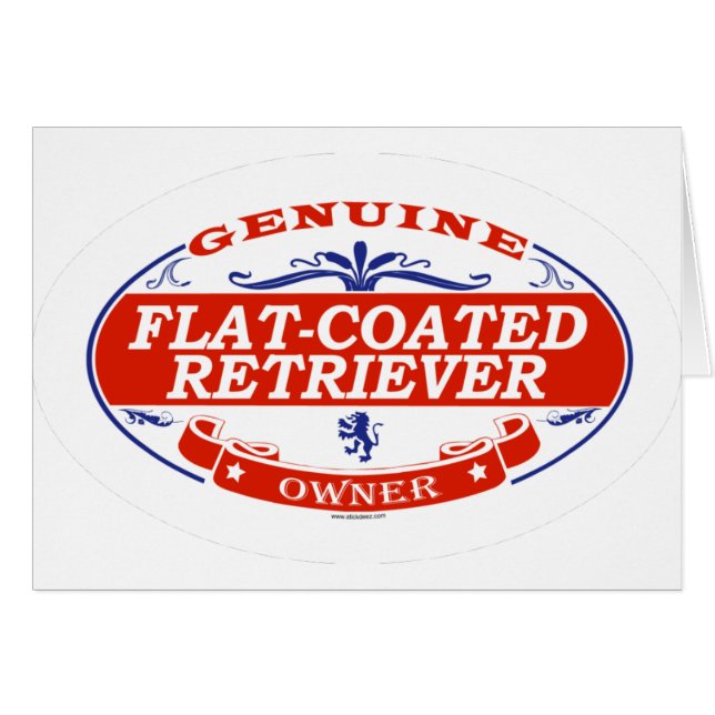 平ら上塗を施してあるレトリーバー (正面横)