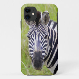 平原のサバンナシマウマの肖像 Hluhluwe-Umfolozi Game iPhone 11 ケース