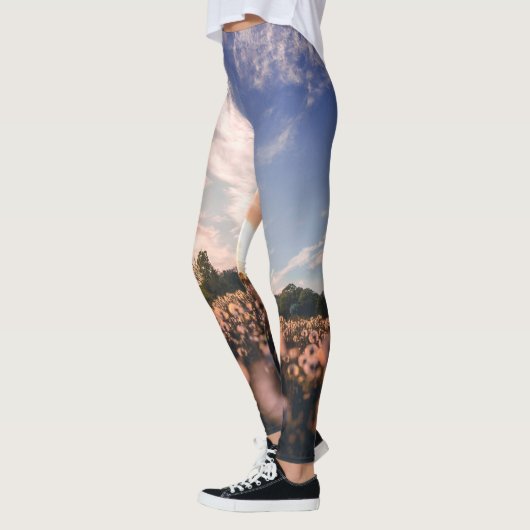 平原の美しい空 レギンス (左)