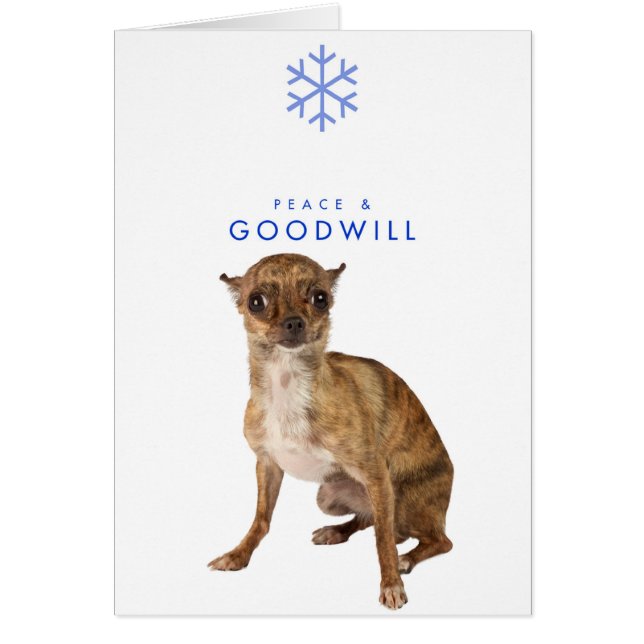 平和およびGOODWILL_1 (正面)