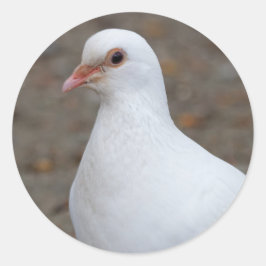 平和が訪れる ラウンドシール