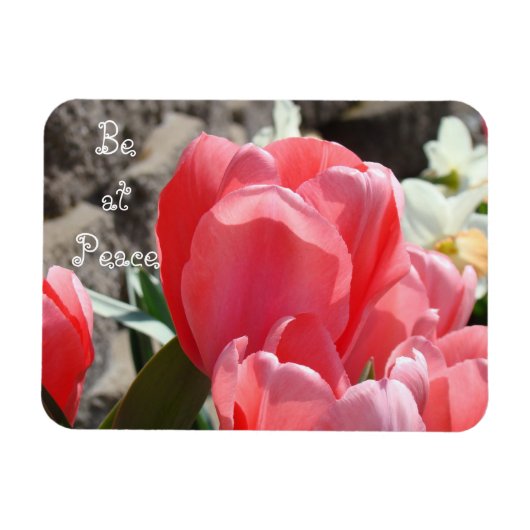 平和でありますように マグネット 春のチューリップ 花 庭園 (横)